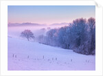 Winter landsacpe in Switzerland by Assaf Frank